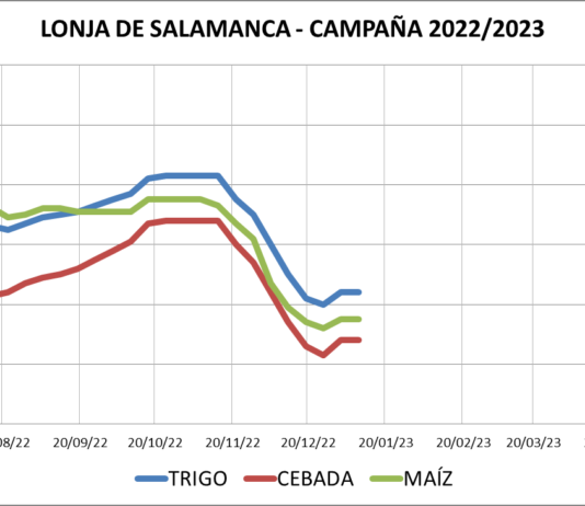 Lonja de Salamanca – 09/01/2023