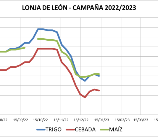 Lonja de León – 11/01/2023
