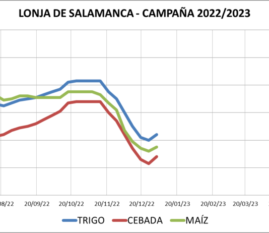 Lonja de Salamanca – 03/01/2022