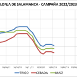 Lonja de Salamanca – 23/01/2023