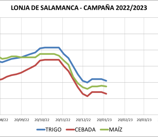 Lonja de Salamanca – 23/01/2023