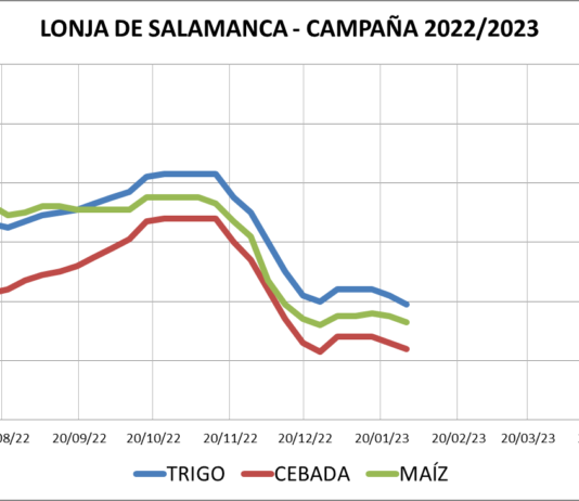 Lonja de Salamanca – 30/01/2023