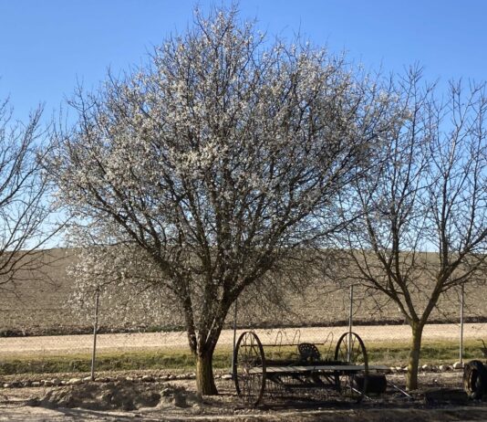 ASAJA constata que muchos jubilados del campo están dejando este año la agricultura y por lo tanto de compatibilizar su pensión con los ingresos agrarios