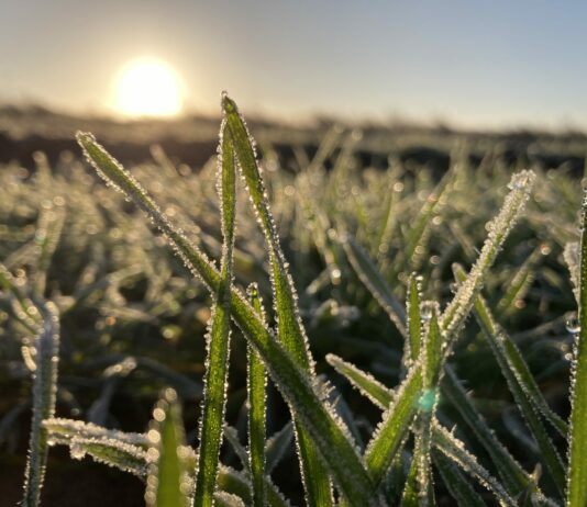 Conoce algunas de las cosas que hemos hecho y por las que hemos peleado estos cinco años