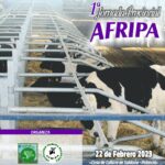 JORNADA AFRIPA