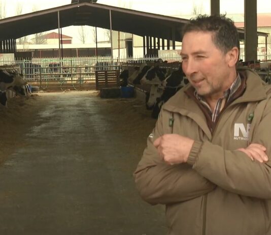 Campo Palentino – 23/02/2023