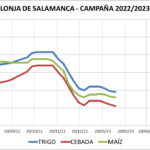 Lonja de Salamanca – 06/02/2023