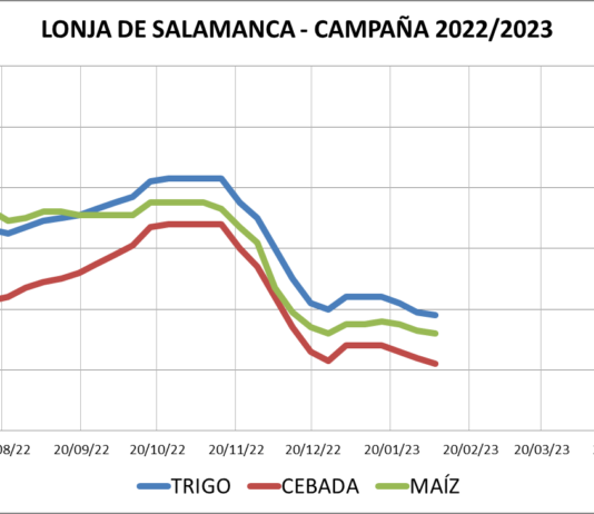 Lonja de Salamanca – 06/02/2023