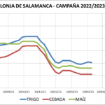 Lonja de Salamanca – 27/02/2023