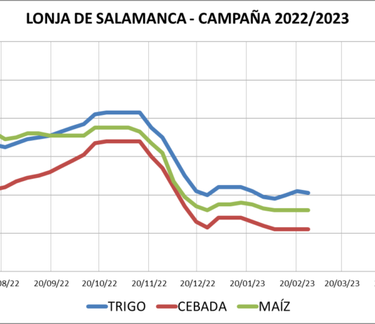 Lonja de Salamanca – 27/02/2023