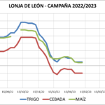 Lonja de León – 08/02/2023