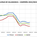 Lonja de Salamanca – 13/02/2023