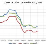 Lonja de León – 15/02/2023