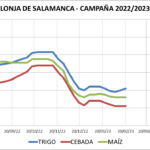 Lonja de Salamanca – 20/02/2023