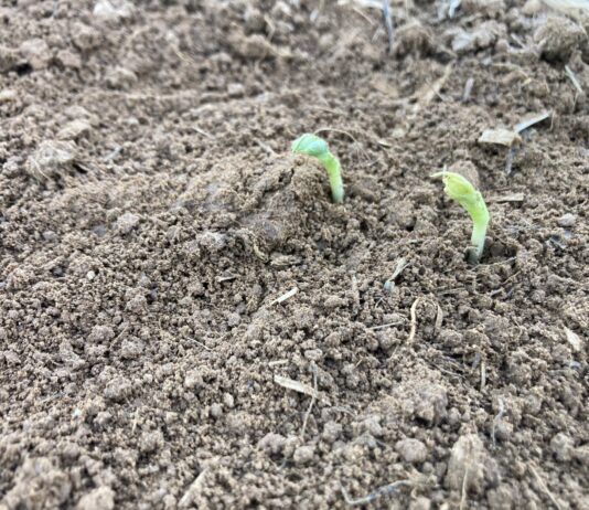 ASAJA pide a la Junta y los bancos que busquen soluciones para los agricultores atrapados en la brutal subida de intereses de los préstamos del “Instrumento financiero”