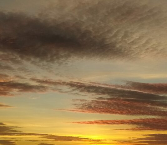 Resolución para la quema de residuos vegetales generados en el entorno agrario