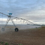 22-Marzo, Día Mundial del Agua | En el Pisuerga, faltos de agua; y en el Carrión, dejándola ir al mar