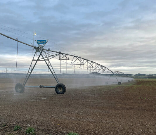 22-Marzo, Día Mundial del Agua | En el Pisuerga, faltos de agua; y en el Carrión, dejándola ir al mar