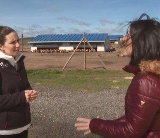 Campo Palentino – 20/03/2023