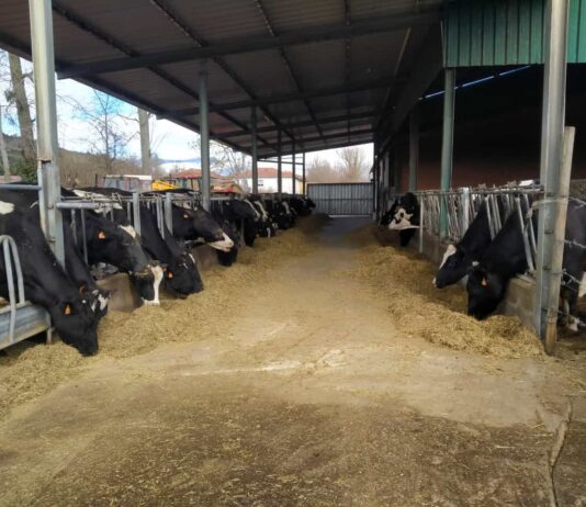 ASAJA critica la avalancha de miles de folios de normativa sobre ganadería, que imposibilita su cumplimiento