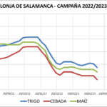 Lonja de Salamanca – 06/03/2022