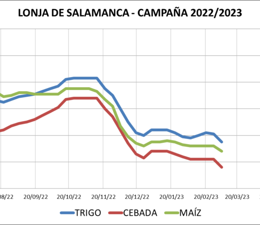 Lonja de Salamanca – 06/03/2022