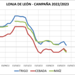 Lonja de León – 01/03/2023