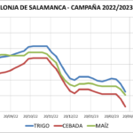 Lonja de Salamanca – 13/03/2023