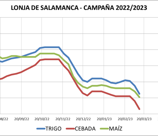 Lonja de Salamanca – 13/03/2023