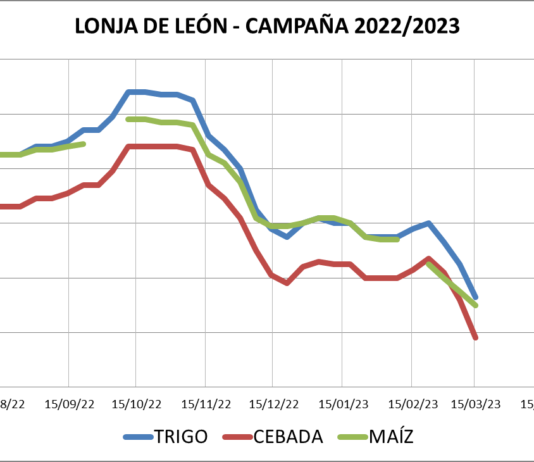 Lonja de León – 15/03/2023