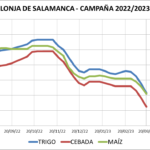 Lonja de Salamanca – 20/03/2023