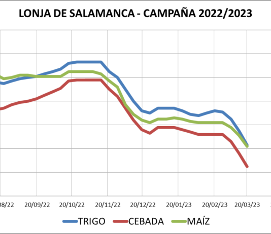 Lonja de Salamanca – 20/03/2023