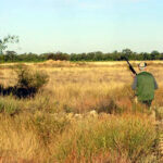El examen de cazador se celebrará el 25 de mayo y el 21 de septiembre
