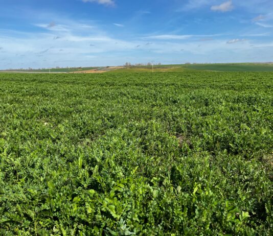 La Junta empieza a abonar los anticipos de la PAC 2023, que llegarán a unos 4.900 palentinos