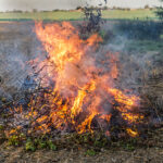 La Junta amplía hasta el 17 de abril la declaración de época de peligro medio de incendios forestales en toda Castilla y León