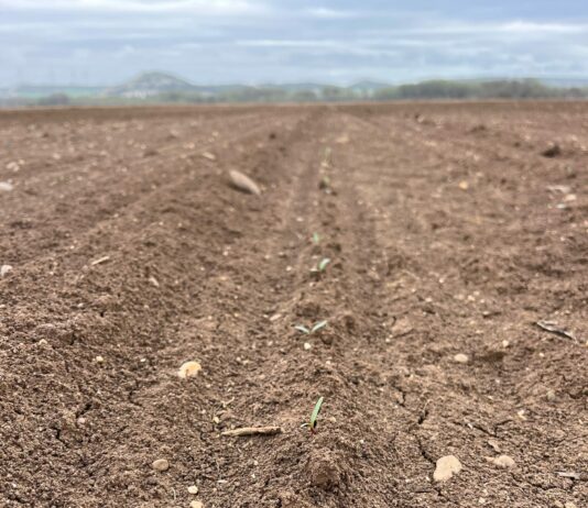 Hasta el 4 de mayo se podrán solicitar las ayudas «agroambientales» y de agricultura ecológica