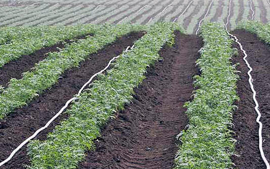 Itacyl organiza una jornada sobre riego de baja presión en Soto de Cerrato