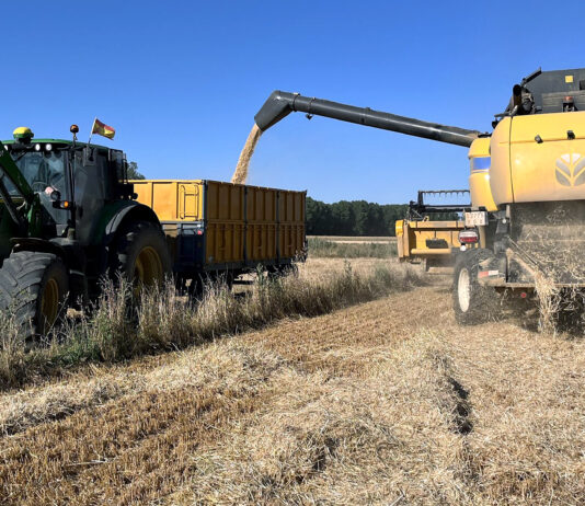 Se prevé un aumento general de cosecha en la Unión Europea en cereales, oleaginosas y proteaginosas