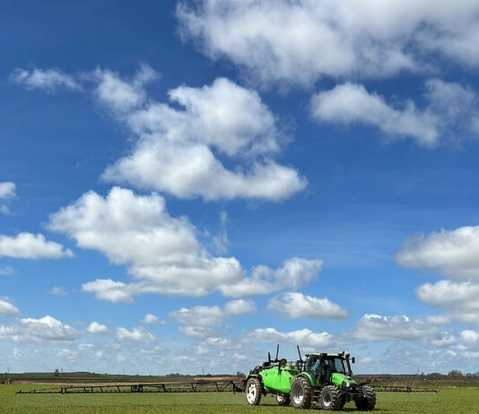 Rechazo de los europarlamentarios a la Ley de Restauración de la Naturaleza, como pedía el campo