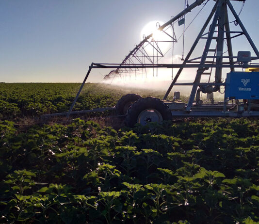 La Confederación mantiene de momento la dotación de agua a los regantes del sistema Pisuerga