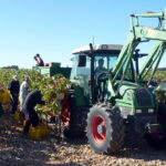 Tablas salariales del convenio de trabajos agropecuarios para 2023 actualizadas al SMI