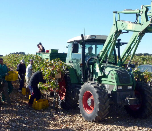 Tablas salariales del convenio de trabajos agropecuarios para 2023 actualizadas al SMI