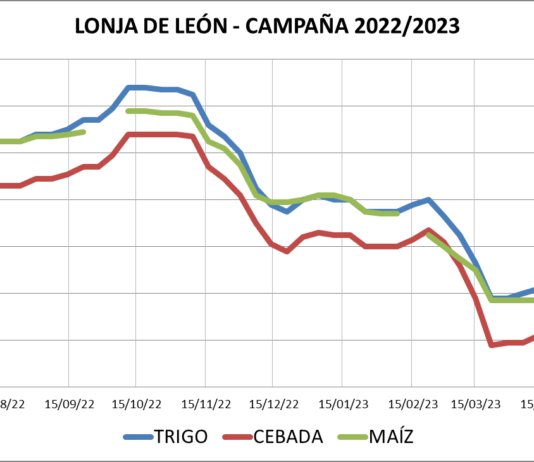 Lonja de León – 03/05/2023