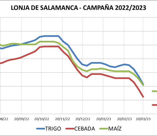 Lonja de Salamanca – 29/05/2023