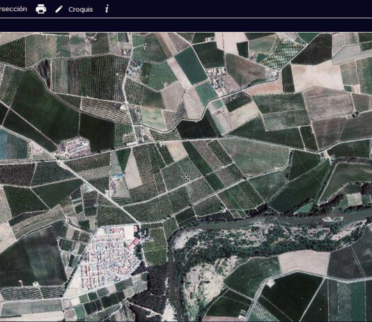 El FEGA publica en el visor SIGPAC el área y tipología de la superficie y los elementos no productivos