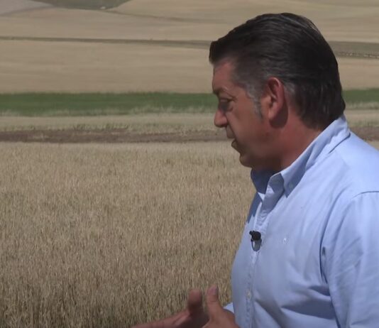 Campo Palentino – 08/06/2023