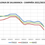 Lonja de Salamanca – 05/06/2023