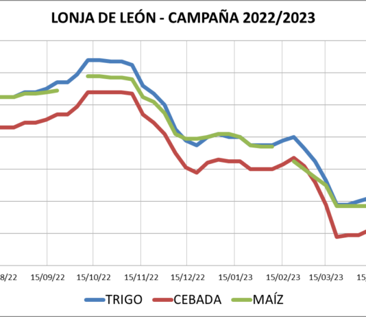 Lonja de León – 07/06/2023
