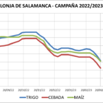 Lonja de Salamanca – 13/06/2023