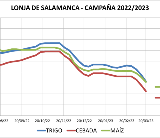Lonja de Salamanca – 19-06-2023